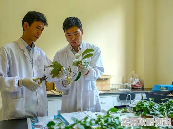 探索国产露脸视频的魅力与多样性，揭示背后的文化与创作故事