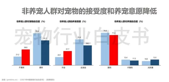 中出处女：最新动态揭示其在现代社会中的影响与发展趋势，值得关注的变化与挑战