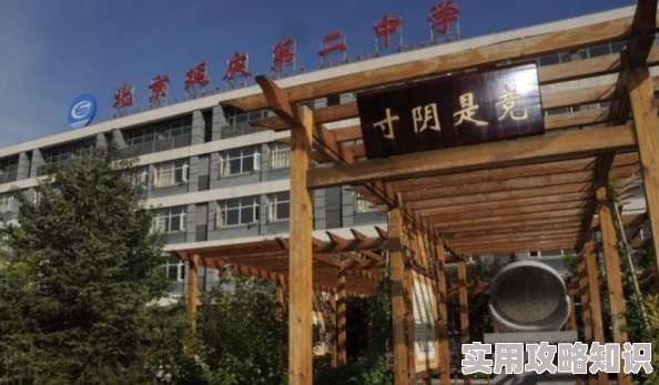 吃逼逼视频：最新动态揭示了该系列视频的受欢迎程度持续上升，吸引了更多观众关注与讨论