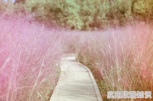 乱子伦一级在线观看高清，许多网友表示画质清晰，观看体验极佳，但也有人担心内容的合法性和安全性