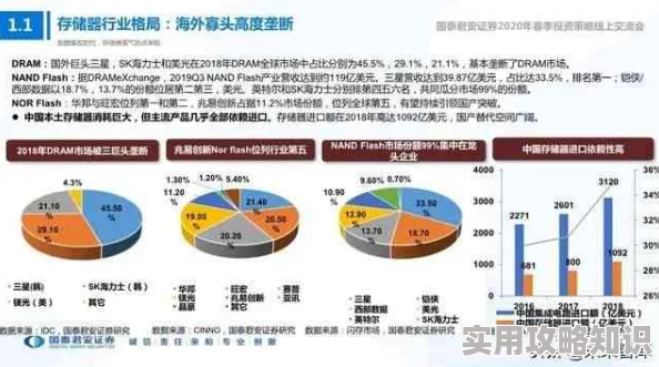 一级国产精品一级国产精品片：最新动态揭示行业发展趋势与市场反应，深度分析用户需求变化与内容创新方向