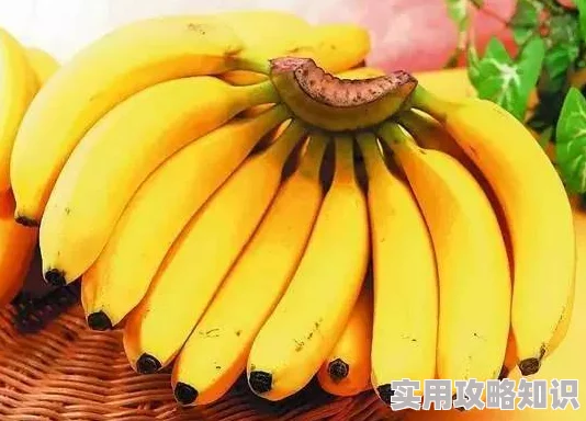 精品国产品香蕉在线观看网友认为该视频内容丰富，画质清晰，适合喜欢此类题材的观众观看，同时也有不少人表示希望能增加更多互动元素