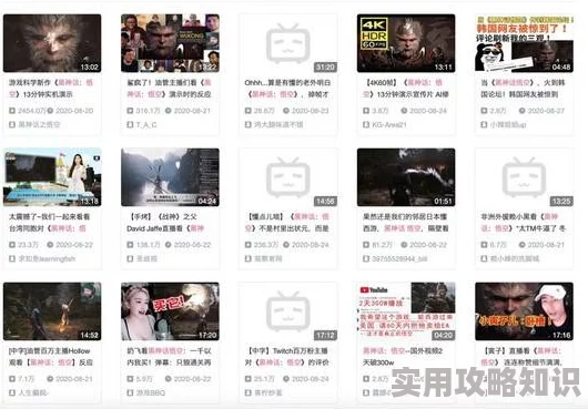 国产成在线观看免费视频成本人，内容丰富多样，满足了不同观众的需求，非常好！