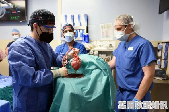 人骵tv惊爆信息：最新研究揭示人骵内部秘密，科学家发现全新细胞功能或将改变医学界未来发展方向