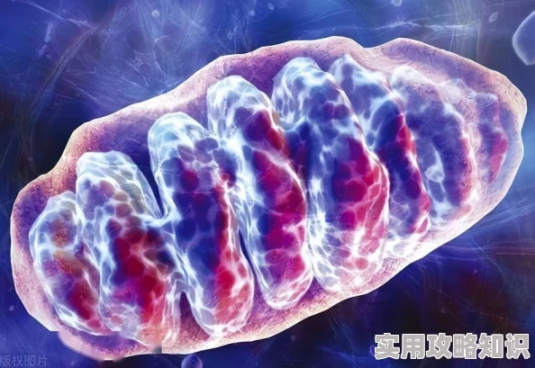 人骵tv惊爆信息：最新研究揭示人骵内部秘密，科学家发现全新细胞功能或将改变医学界未来发展方向