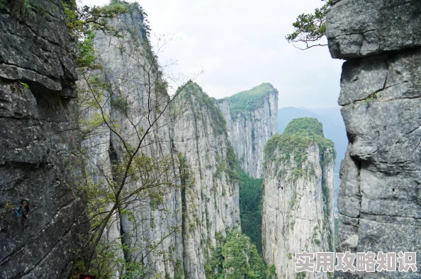 网友热议：创造与魔法云端城堡设计图揭秘及高效建造方法指南