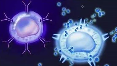 有网友称：《细胞分裂重制版》未取消，仍在开发中，或将于2026年惊艳公开