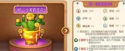 网友热议：弹弹堂沙漠之花系列，哪款才是最优选？