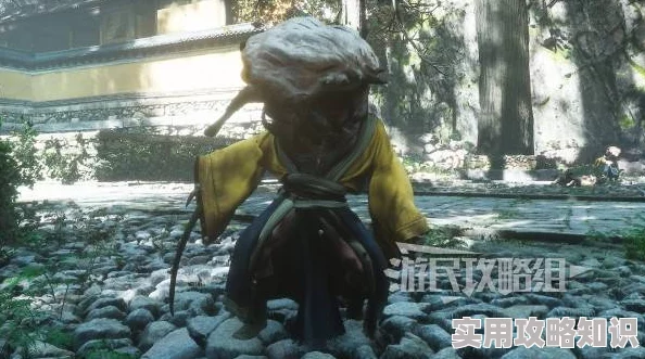 网友热议：揭秘《黑神话悟空》黄袍员外影神图细节，图鉴大赏与江湖百态录深度解析