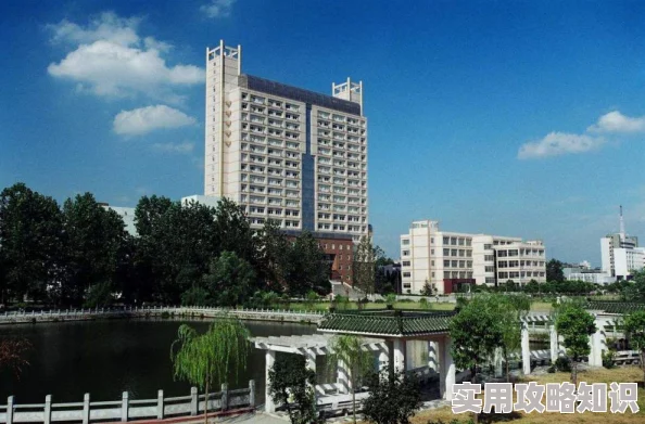 网友热议：文明6六大古国中，究竟哪个文明实力最强引发热议！