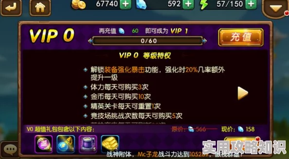 口袋高手满级VIP价格揭秘：最新VIP等级费用及网友评价汇总
