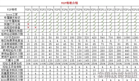 口袋高手满级VIP价格揭秘：最新VIP等级费用及网友评价汇总