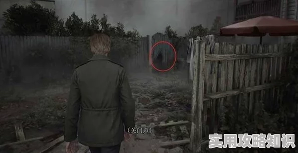《寂静岭2 重制版》南谷西区收集品全攻略：网友热议藏宝地点详细介绍