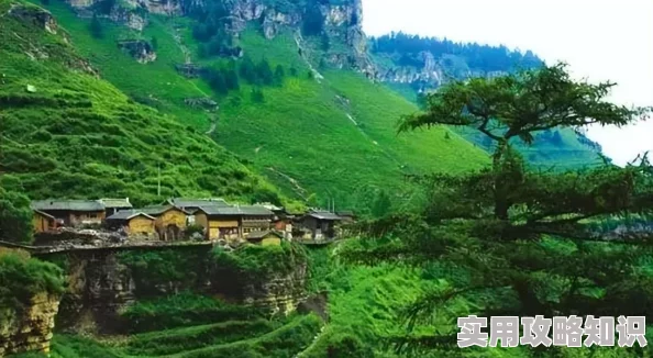 网友热议：浮生为卿歌中如何高效上阵皇子与随从？实战攻略详解