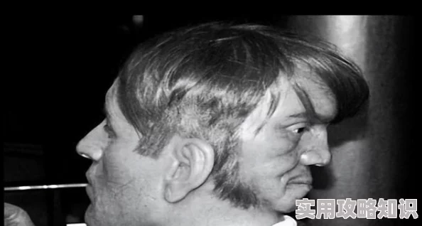 2024年人气爆棚免费恐怖手游下载TOP5，网友热议精选推荐！