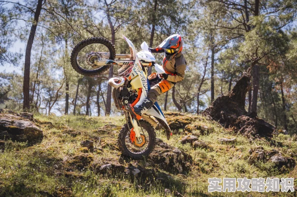 2024年网友热评：炫酷VR赛车游戏下载推荐，盘点最好玩的VR赛车手游精选集