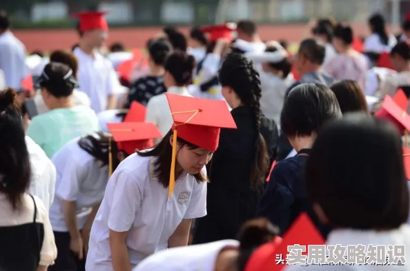 2024年7岁小孩必玩手游精选！网友力荐的有趣孩童游戏大盘点