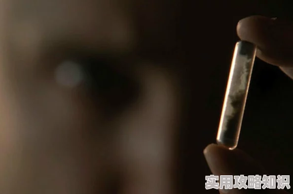 网友热议：致命解药存档点高效刷衣服技巧大揭秘及实用评价
