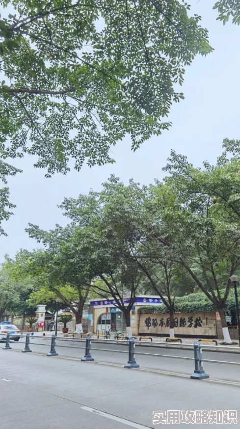 2024热门双人恋爱手机游戏推荐排行，网友力荐的几款必下手游精选！