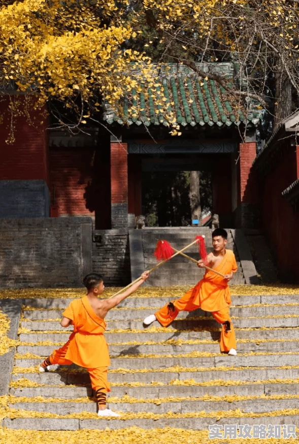 青青草原成品人少林寺传奇心怀善念勇敢追梦传承武术精神与友爱