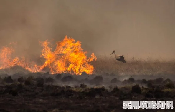 我的世界烈焰人栖息地揭秘：详细位置指南及网友真实评价汇总