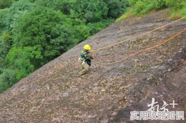 泥泞中的老虎近日科学家发现新物种为生态研究提供了重要线索