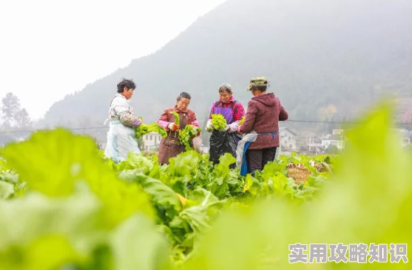 王者荣耀草木风华周年庆系列皮肤价格揭秘，网友热议性价比如何？