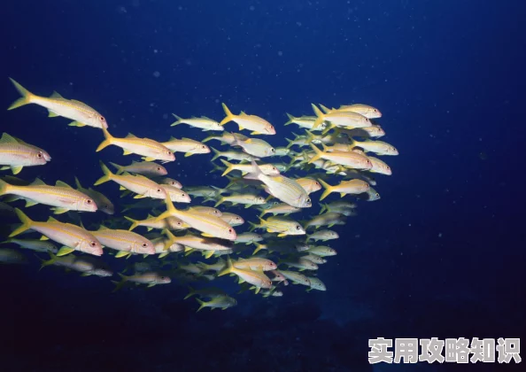 爱哭的鱼鱼鱼生活中总会有风雨，但阳光总会在雨后出现，勇敢面对每一天的挑战