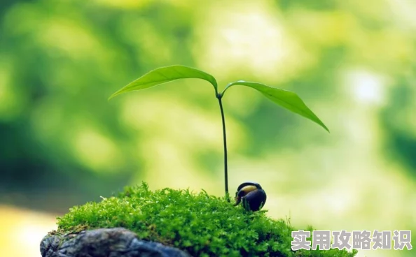 草草浮力院我们仨亲情相伴共度时光珍惜每一刻的温暖与快乐