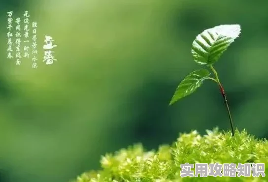 草草浮力院我们仨亲情相伴共度时光珍惜每一刻的温暖与快乐