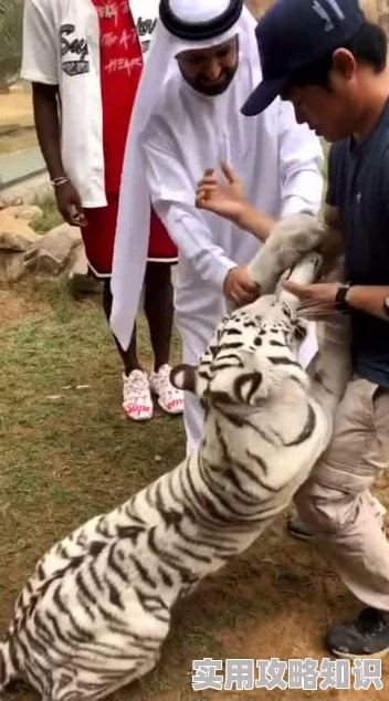 白虎馒头有钱男与贫穷女只要心中有爱和梦想，幸福就会降临