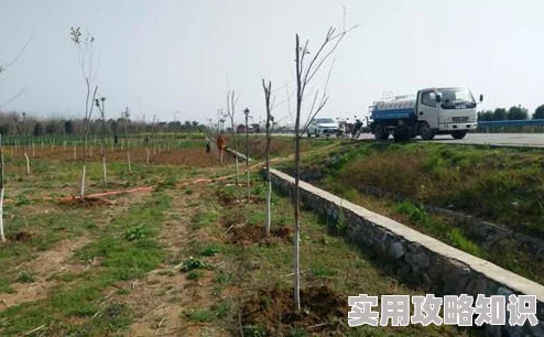 微杏1280入口积极向上让我们共同追求梦想与幸福