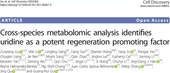 啊操近日科学家发现了一种新型可再生能源技术有望改变未来能源格局