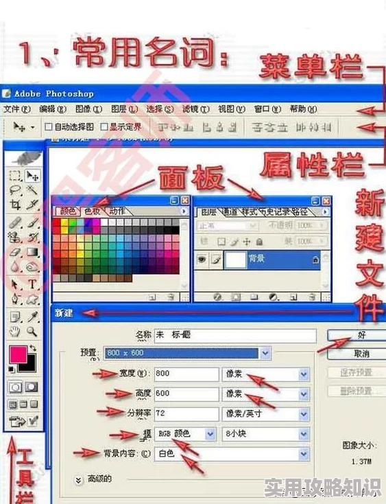 积积对积积的桶软件大全免费版本更新新增多款实用工具和优化用户体验