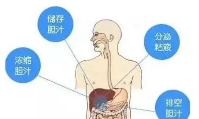 束缚排泄h调漖憋尿男男后续更新新增强制饮水情节与户外暴露play