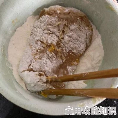 在吃鸡排合集txt已更新至第100集新增麻辣鸡排和香酥鸡排两种口味