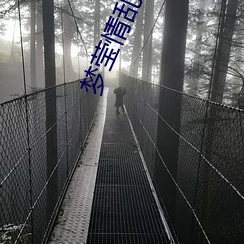 梦莹情乱风之舞心随风起勇敢追梦展翅高飞