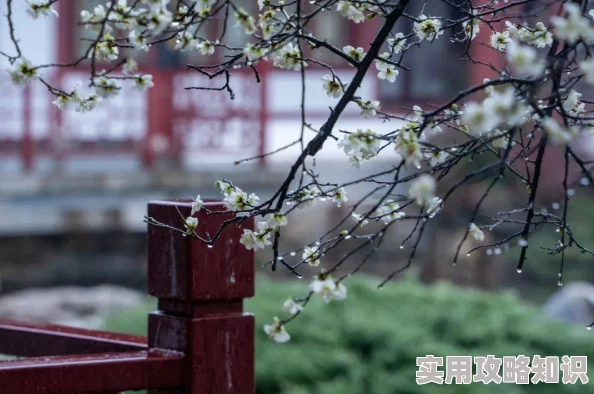 叶玉晚来春连日春雨滋润玉家有喜添丁庭院新绿渐浓