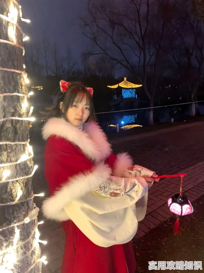 苏清歌秦可欣夏晴子闹元宵花灯璀璨人如织三女巧遇旧识共赏元宵