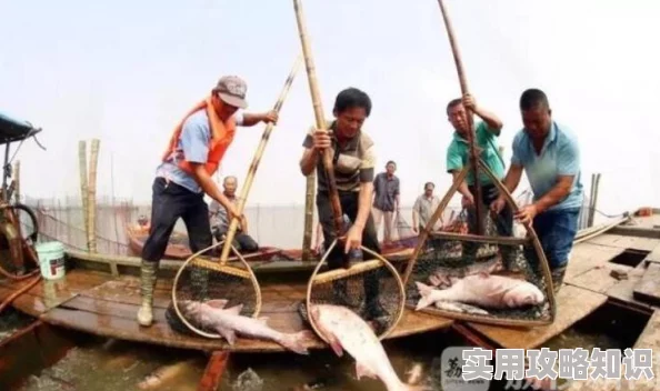 捕鱼来了！不限号测试惊喜倒计时，花式捕鱼新玩法抢先看，海量福利等你来拿！
