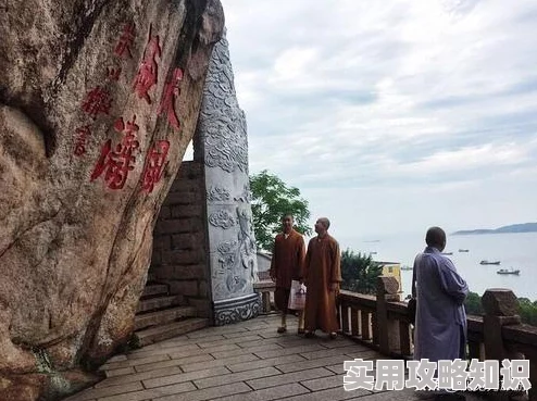 口袋妖怪复刻惊喜来袭！雷电狮技能深度解析与高效攻略大公开
