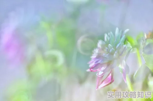 幸福的一家1—小说让我们珍惜身边的人与事，共同创造美好生活的每一天