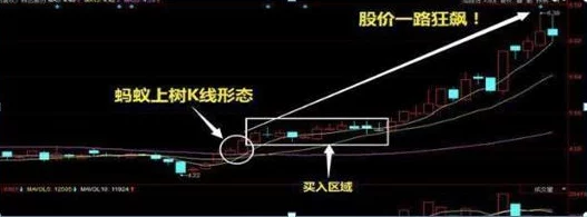 大胆展阴艺术家在展览中展示了全新作品，吸引了众多观众前来参观。