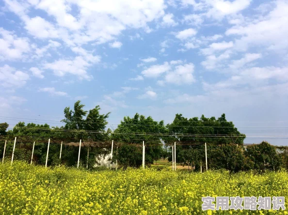 春情acome春季花卉展览即将开启让我们一起感受花海的魅力