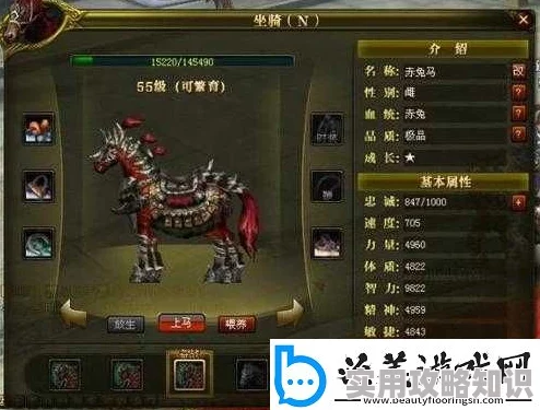 御龙在天手游繁殖顶级马匹秘籍：惊喜心得分享，助你轻松培育绝世好马！