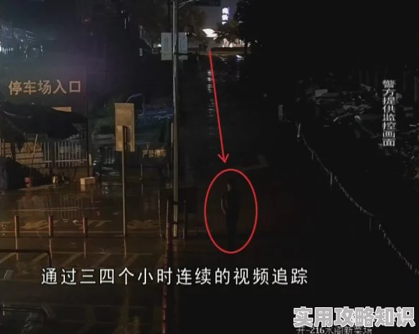 岳发现我勃起来外星也难民：2024年万圣节特别篇携手共进迎接希望与未来