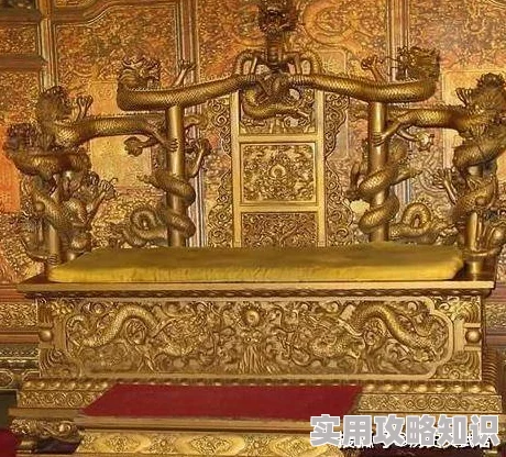 皇上坐在含玉根的龙椅上朝考古学家发现龙椅底部刻有神秘符号其含义至今仍未破解