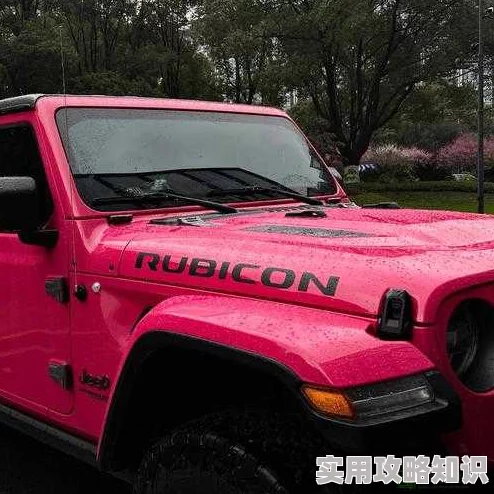 桃红色Jeep官方正版现已开启预订预计八月底正式发售多种配置可选