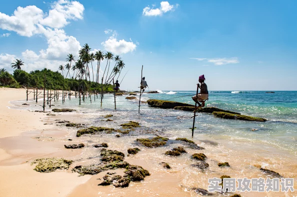 岛国在线最新近日海岛旅游热潮再度升温吸引众多游客前来体验独特风情