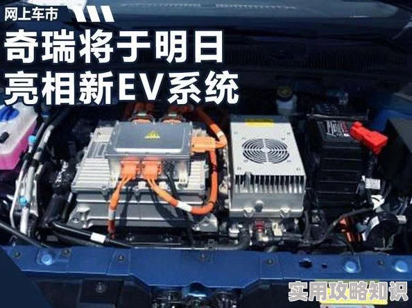 惊喜揭秘！明日之后高效获取树油攻略，助你轻松打造硬铝合金必备材料！